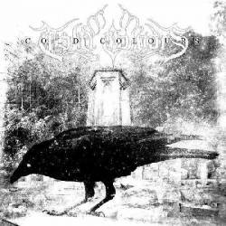 Cold Colours : Cold Colours